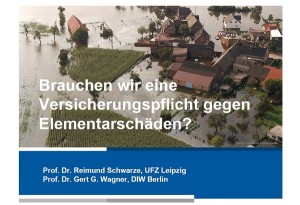Hochwasser, Versicherung, DIW Berlin