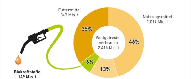 Biokraftstoffanteil am globalen Getreideverbrauch