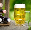 Camelot Bierstudie