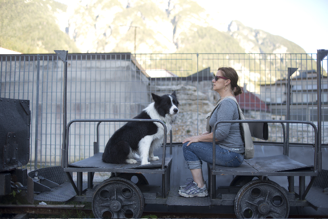 Hund und Andrea Latritsch-Karlbauer bewahren Haltung