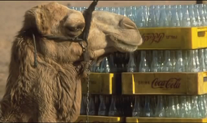 Coca Cola, Kamel
