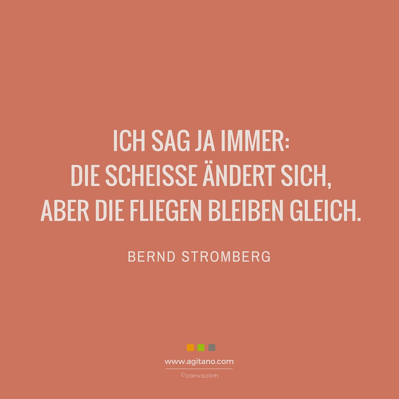 Scheisse, Fliegen, Spruch, Bernd Stromberg, Leben, Management, Alltag