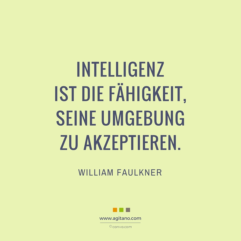 Intelligenz, Fähigkeit, Erfahrung, Umgebung