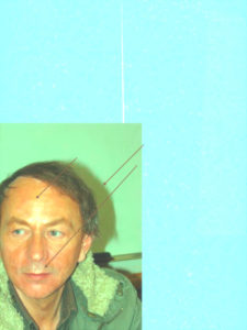 Bearbeitetes Portrait von Michel Houellebecq