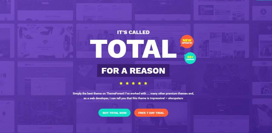 Total, Total Theme, die besten WordPress Themes für den Sommer 2017, Themeforest, Themes