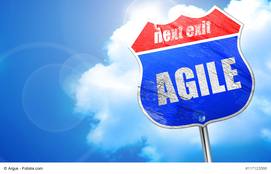 agilität, agile management, agiles projektmanagement