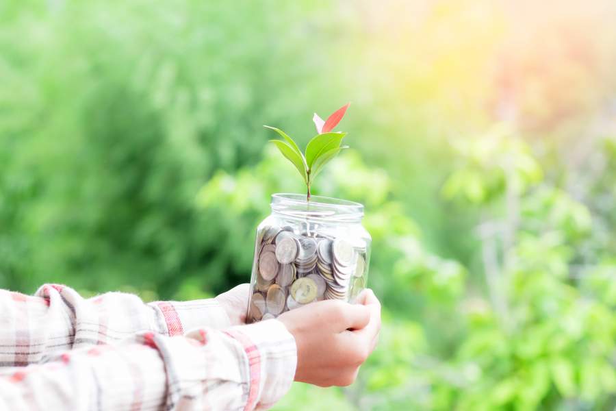 Menschliche Hände in FLanellhemdsärmeln halten großes volles Glas voller Münzen mit einem Blütentrieb, der aus dem Geld herauswächst, grüner verschwommener Hintergrund, der auf einen gesunden Wald schließen lässt