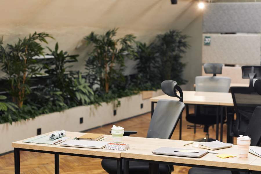 Ergonomische Bürostühle in einem Mehrpersonenbüro an Schreibtischen mit Unterlagen, im Hintergrund einige Pflanzen