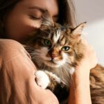 Frau hält Katze auf dem Arm und kuschelt mit ihr, Katze blickt in die Kamera