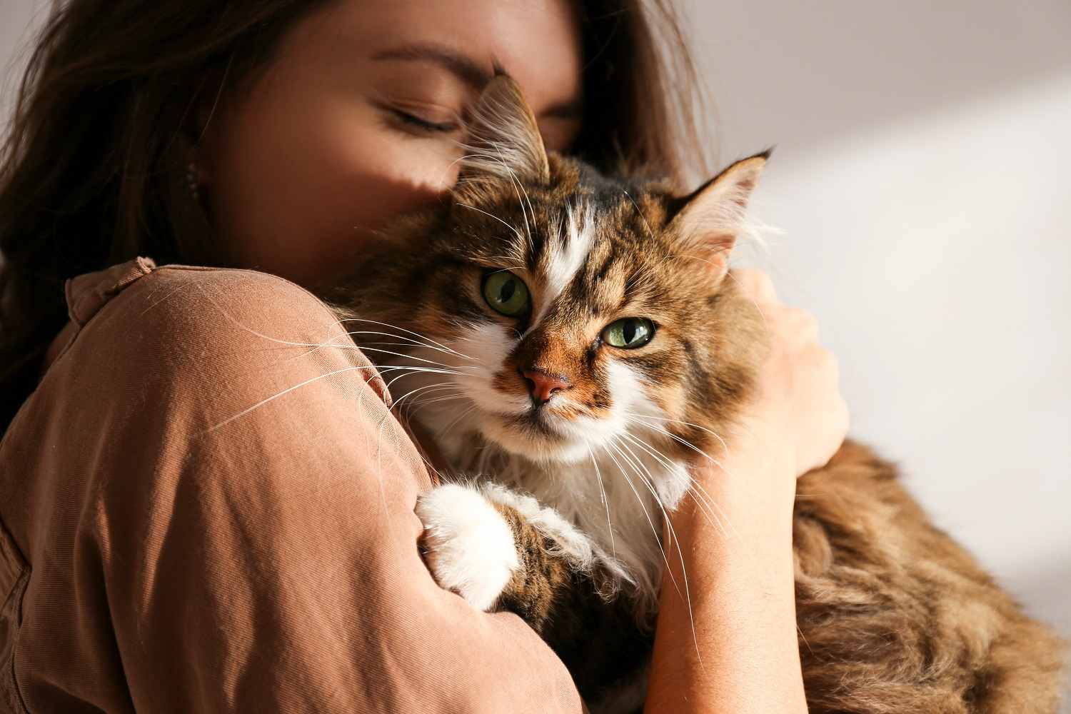 Frau hält Katze auf dem Arm und kuschelt mit ihr, Katze blickt in die Kamera